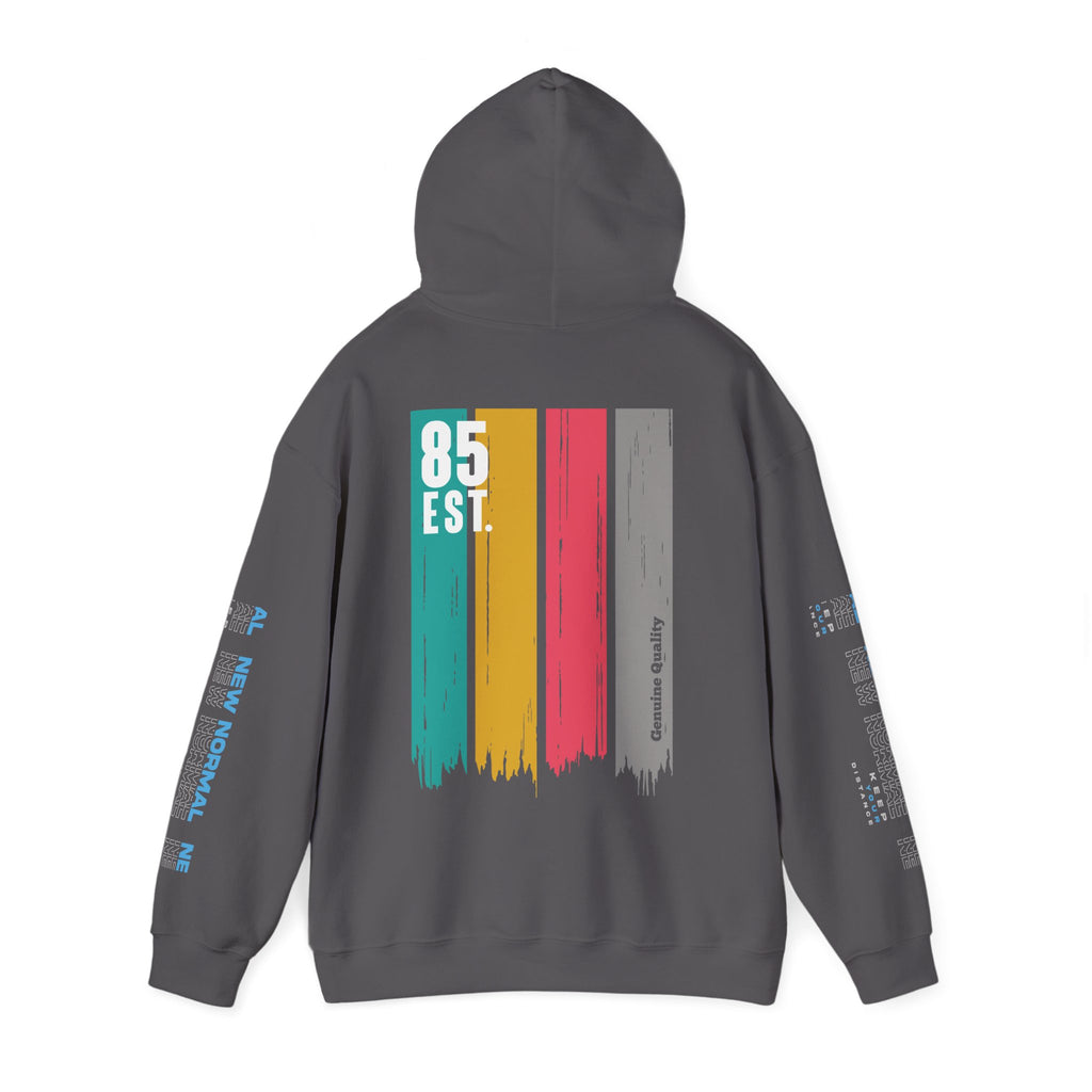 Women's Retro Paint Stripe Hoodie — “85 EST.” Graphic Sleeve Hoodie